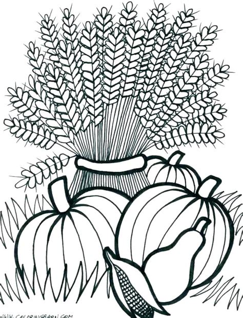 Harvest Coloring Pages Printable