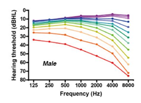 Hearing Range Age Chart