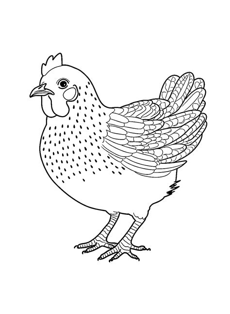 Hen Printable