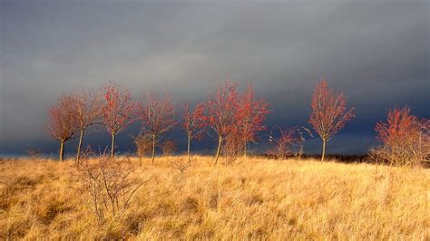 Herbststürme