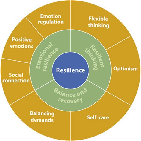 Hicozi: A Model of Resilience and Innovation