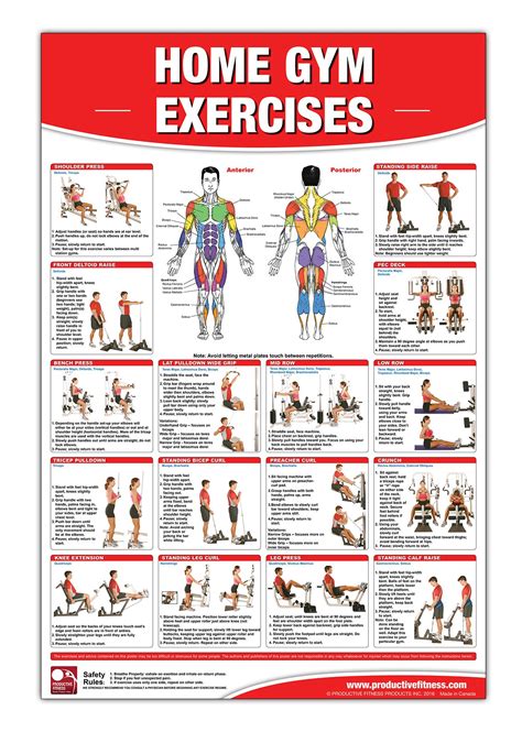 Home Gym Exercise Chart
