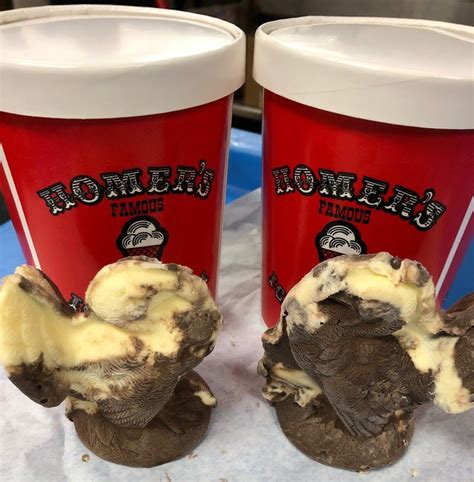 Homers Ice Cream: A Refreshing Delight for Generations