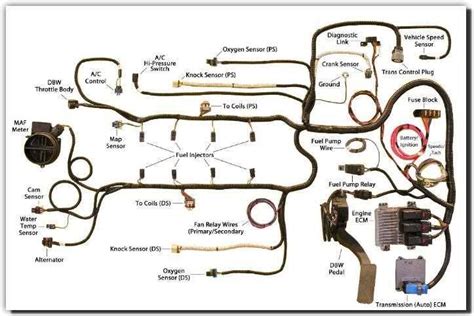 Honda B Series Wiring Diagram