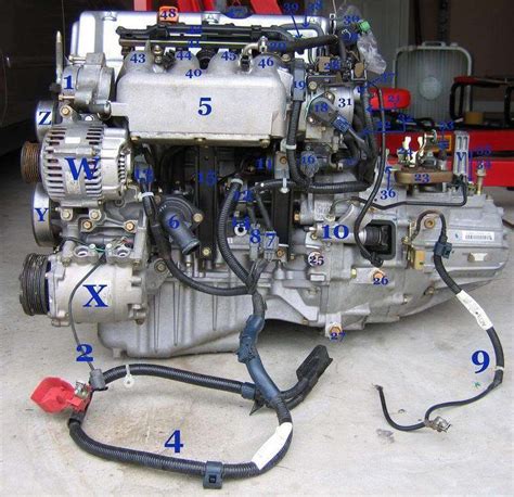 Honda K24 Wiring Schematic