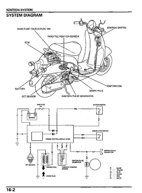 Honda Scoppyi 2015 Wiring Diagram