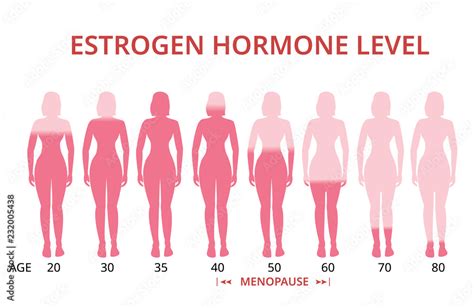 Hormone Levels Menopause Chart