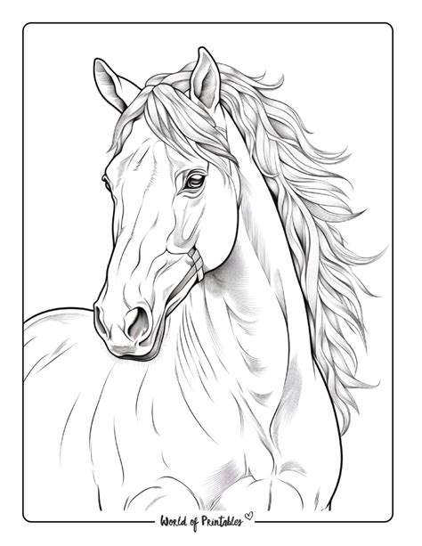 Horse Coloring Page Printable