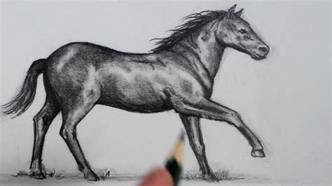 Horse Drawing Good To Bad