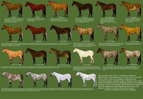 Horse Life Color Chart