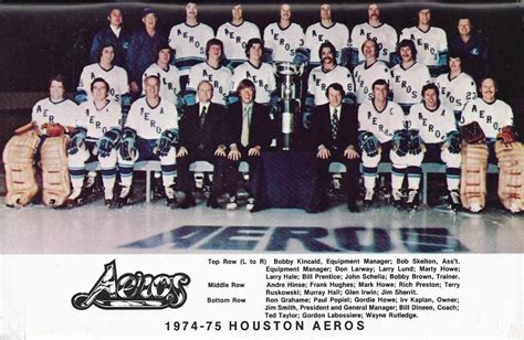 Houston Aeros Ice Hockey: A Local Legacy