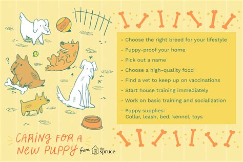 How To Care Dog Puppy