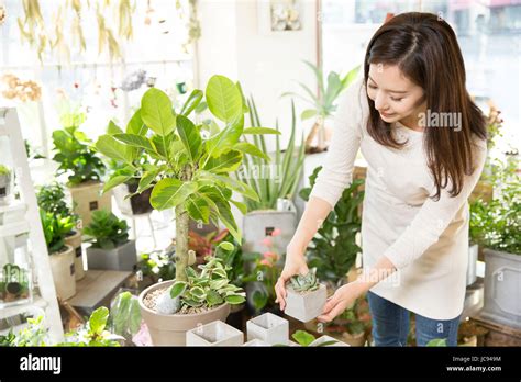 How To Care For Plants