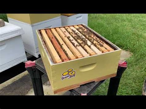 How To Catalog Frames And Supers In Apiary