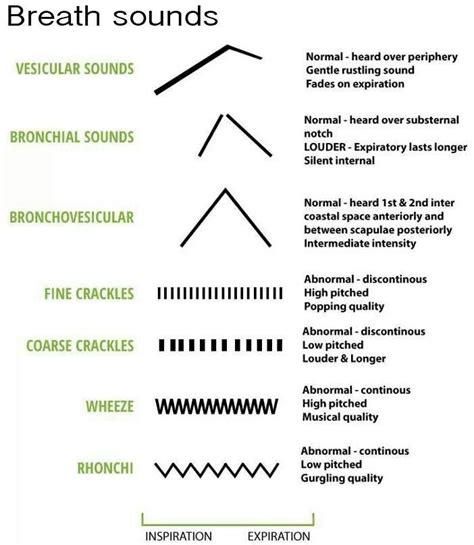 How To Chart Breath Sounds