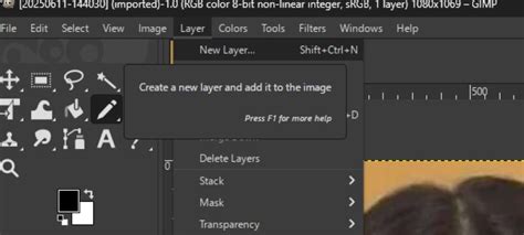 How To Convert Layer On Catalog In Gimp
