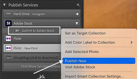 How To Copy Publish Services In Lightroom Catalog