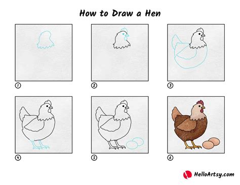 How To Draw Hen Step By Step