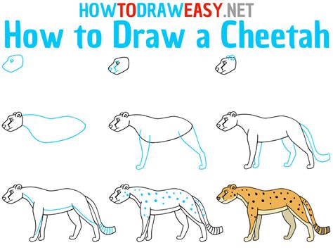 How To Draw Step By Step Cheetah Printable
