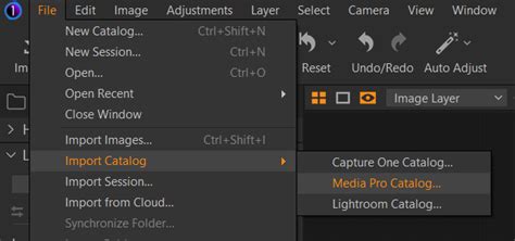 How To Import A Capture One Pro Catalog