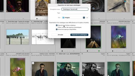 How To Make A Catalogue In Lightroom