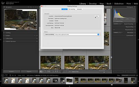 How To Move Lightroom Catalog To Different Drive