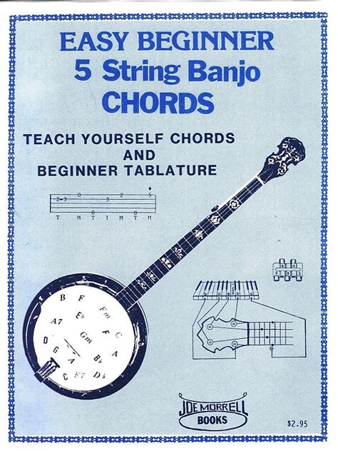 How To Play The 5 String Banjo A Manual For Beginners