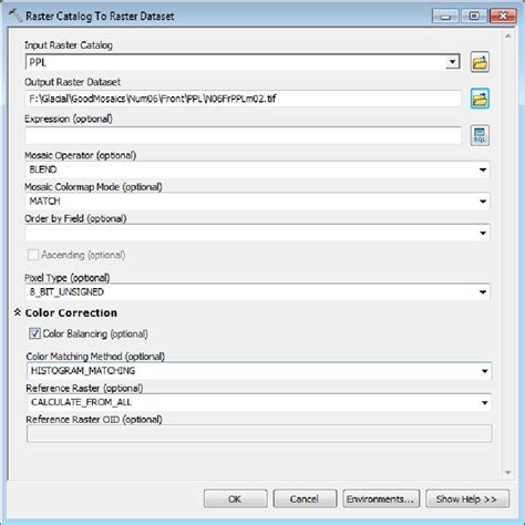 How To Populate Path Column On Raster Catalog