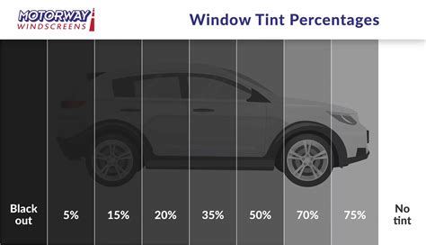 How To Tint Your Car Windows