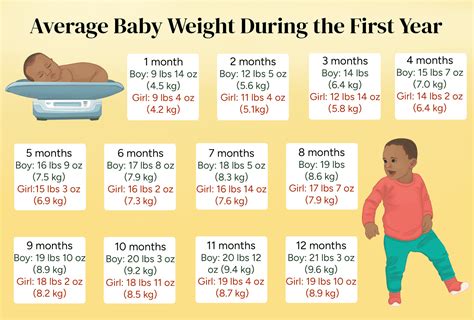 How To Work Out Baby's Weight From Growth Chart