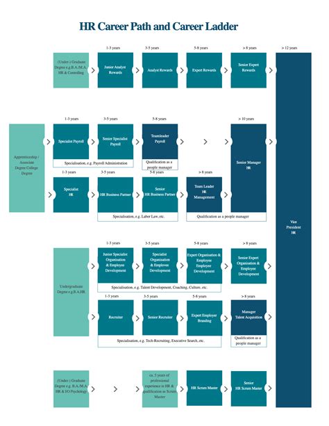 Hr Career Ladder