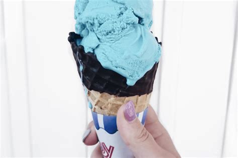 Hudsonville Ice Cream: Unlocking the Sweetness of Michigan