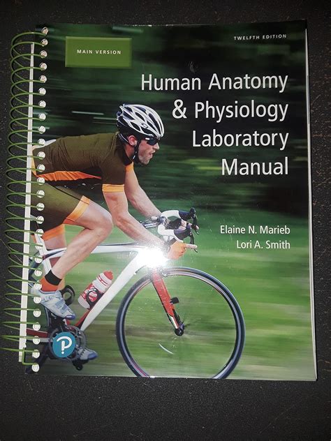 Human Anatomy Laboratory Manual Answer Key Marieb