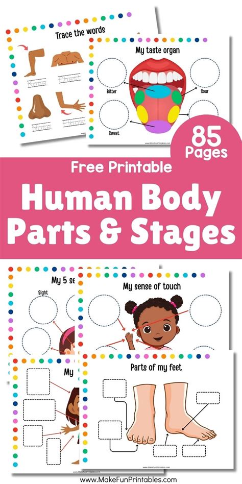 Humans Printables