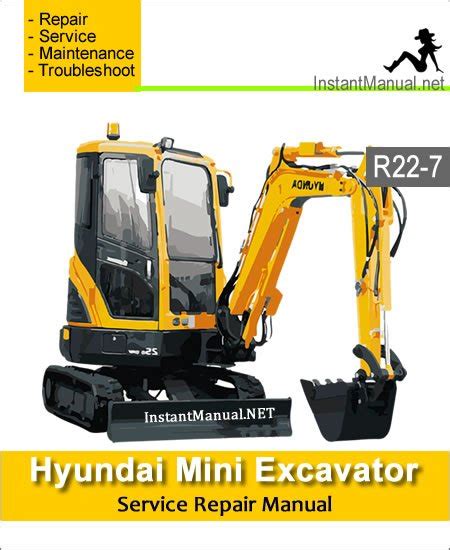 Hyundai Crawler Mini Excavator R22 7 Service Repair Manual