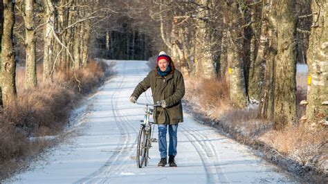 I2 Skogen: Et inspirerende møte med naturens kraft