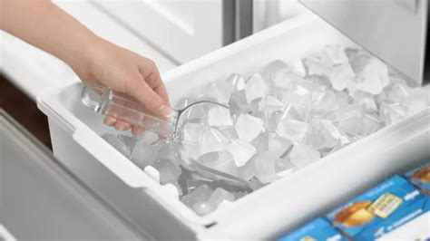 Ice Bin for Freezer: A Silent Guardian of Frozen Delights