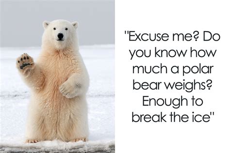 Ice Breaker Jokes: Breaking the Ice and Warming Up the Conversation