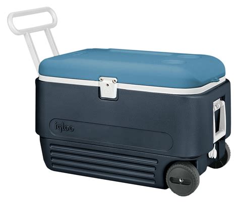 Ice Chest with Wheels Costco: Your Essential Guide