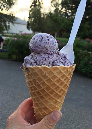 Ice Cream Fairbanks: A Journey of Sweetness and Delight