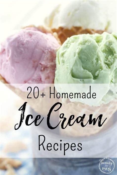 Ice Cream Maker: A Summertime Essential for Homemade Delights