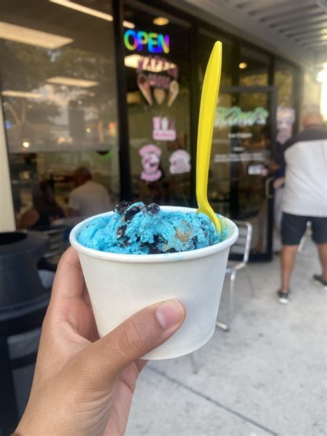 Ice Cream Riverview FL: A Sweet Escape