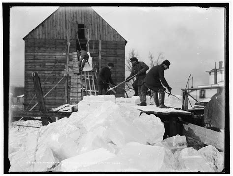 Ice Harvest: A History of the Frozen Food Industry