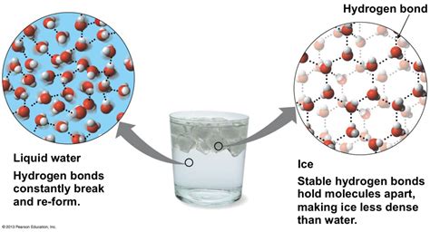 Ice Make: Transforming Frozen H2O into a World of Possibilities