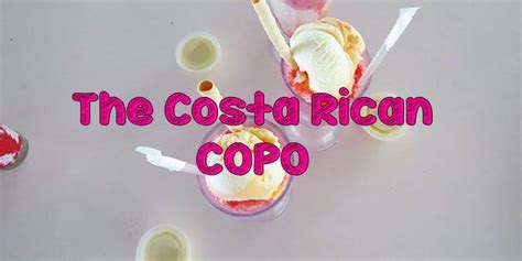 Ice Maker Costa Rica: Solutions for Your Refreshing Needs
