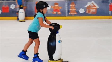 Ice Skating with a Penguin: A Complete Guide