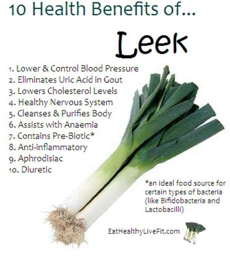 Ice Spice Leek: The Health Benefits and Everyday Uses