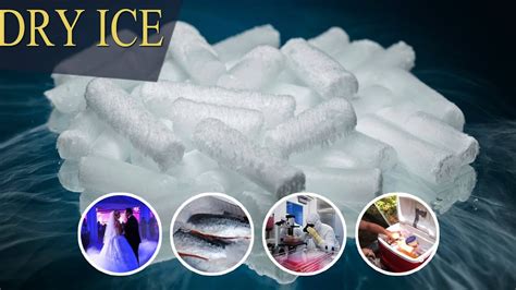 Ice Supplier Singapore: An Essential Guide to Keeping Your Cool