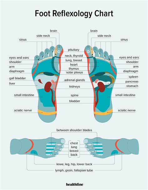 Images Of Foot Reflexology Chart