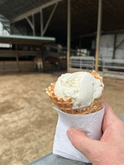 Immerse Yourself in Lancaster, PAs Ice Cream Paradise